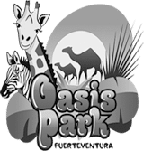 oasis park